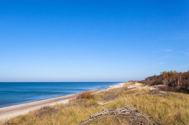 mavi deniz, Curonian Spit Milli Parkı ile vahşi beach