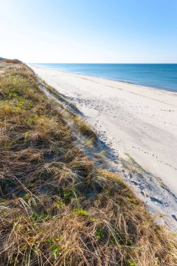 parlak vahşi plaj beyaz kum mavi deniz, Curonian Spit Milli Parkı