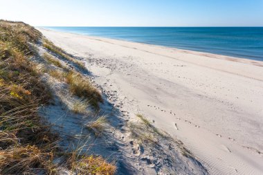 parlak vahşi plaj beyaz kum mavi deniz, Curonian Spit Milli Parkı