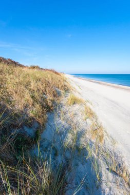 parlak vahşi plaj beyaz kum mavi deniz, Curonian Spit Milli Parkı