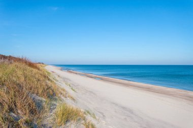 parlak vahşi plaj beyaz kum mavi deniz, Curonian Spit Milli Parkı