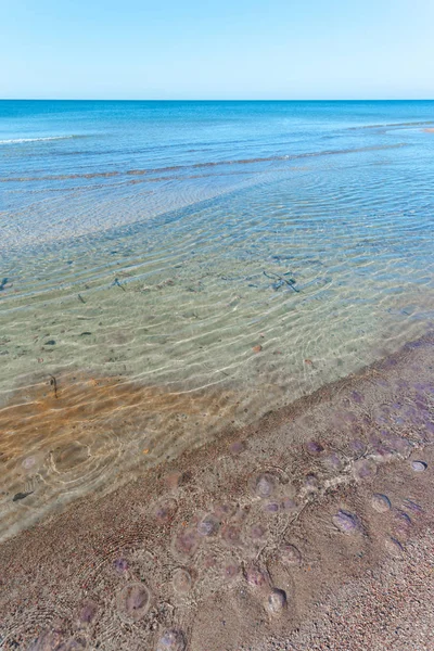 güzel bir mavi lagün ve deniz manzarası