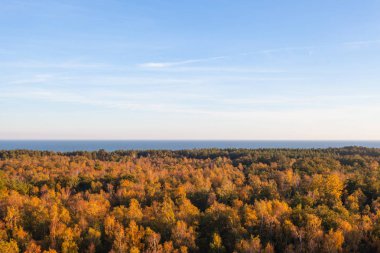 denize yakın kalın altın orman kron