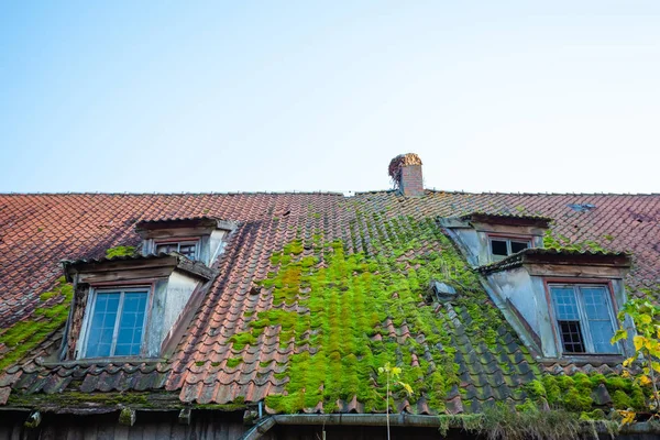 Ветхая Крыша Старого Дома Покрыта Мхом Уютными Маленькими Окнами — стоковое фото
