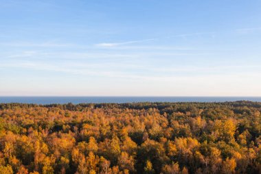 denize yakın kalın altın orman kron