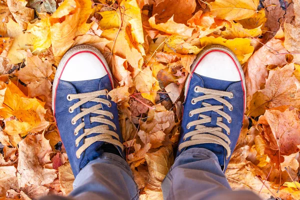 feet in sneakers on dry yellow foliage