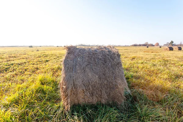 round bale of pressed hay lying in a field on a bright sunny day