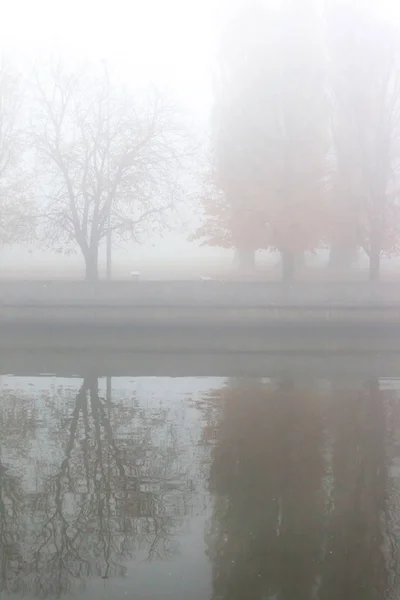 Nehir Yakınındaki Sonbahar Şehir Parkında Kalın Sis — Stok fotoğraf