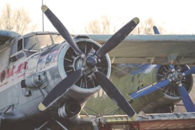 eski bir açık hava mezarlığında eski yok paslı çift kanatlı, retro tonda