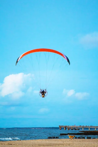 海とビーチの上空を飛ぶパラグライダー — ストック写真