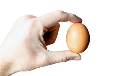 Beyaz arka planda sarı tavuk yumurtası, izole