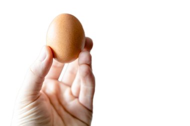 Beyaz arka planda sarı tavuk yumurtası, izole