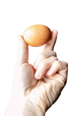 Beyaz arka planda sarı tavuk yumurtası, izole