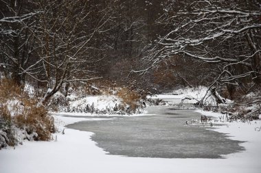Kış. Arasında yaprak döken ağaçlar küçük nehir akar. Su olan yerlerde karla kaplı buz tarafından yapıldı.
