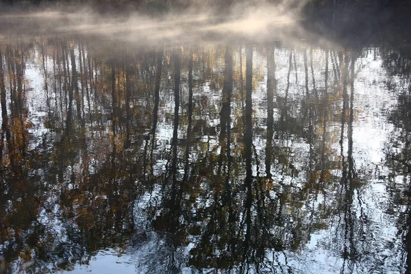 Solar Autumn Morning Water Easy Ripples Gaze Reflections Trees — Stock Photo, Image