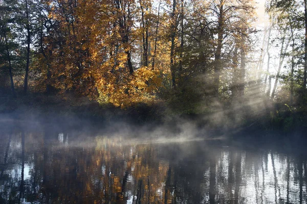 Восход Солнца Осенним Октябрьским Утром Река Взгляде Красочные Деревья Далеком — стоковое фото