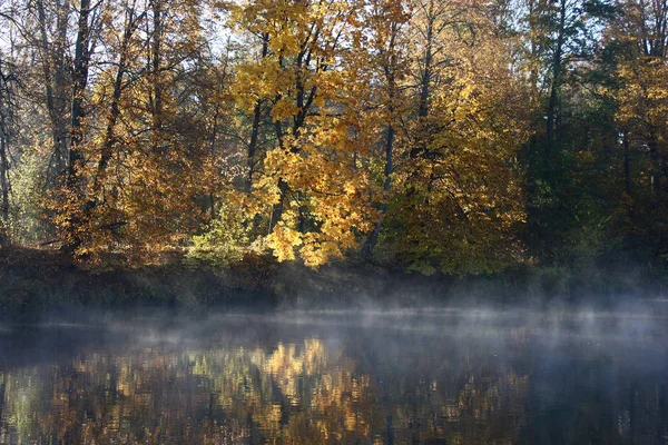 Sonnenaufgang Herbstmorgen Oktober Der Fluss Blick Bunte Bäume Der Fernen — Stockfoto