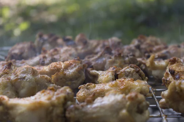 Pollo cotto sul barbecue — Foto Stock