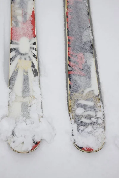 Esquí Twintip Interesante Tumbado Nieve Freestyle Slopestyle Esquí —  Fotos de Stock