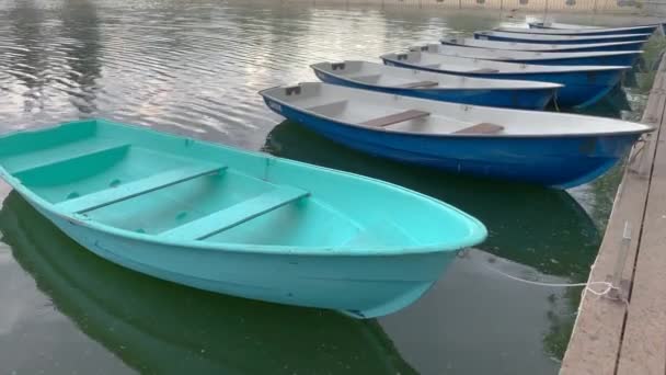 녹색 물에 스윙 귀여운 보트. — 비디오