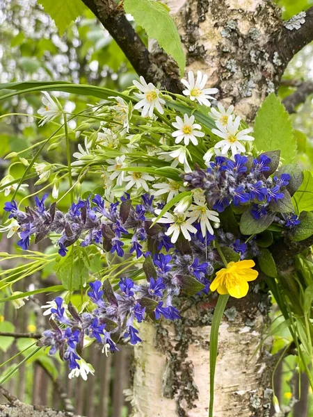 A simple field bouquet of flowers hangs on a birch tree. — Stock Photo, Image