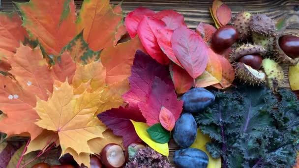 Herfst fruit en bladeren zijn gelegd op een houten achtergrond. — Stockvideo