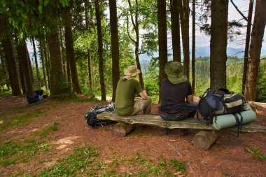 turistler orman günlüğüne oturmak