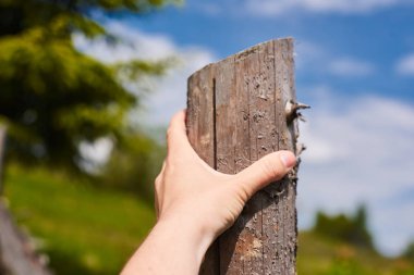 çayır çit üzerine elini tutar