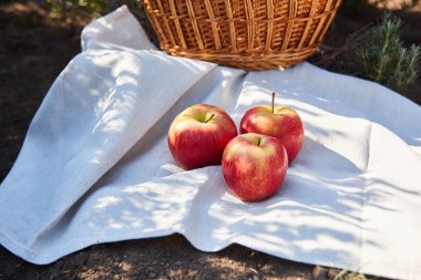 piknik Fransız baget lavanta alanları