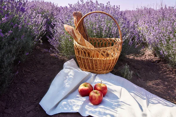 Wicker basket with bread and apples in the lavender fields