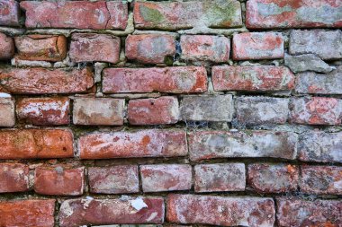 terk edilmiş bir sokakta örümcek ağları ile kaplı harap tuğla duvar