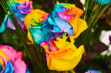 Gökkuşağı renkli gül buketi, gül