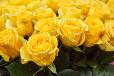 Sarı gül ve atış izleme düzenlemeleri çiçekçi dükkanı, taze kesilmiş