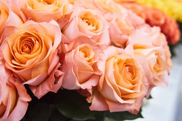 Rosas Amarelas Rosa Claro Cortadas Frescas Arranjos Florista Loja Tiro — Fotografia de Stock