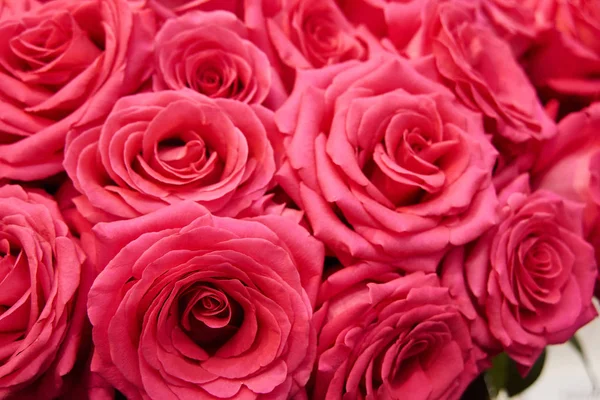 Rosas Vermelhas Recém Cortadas Arranjos Florista Loja Rastreamento Tiro — Fotografia de Stock