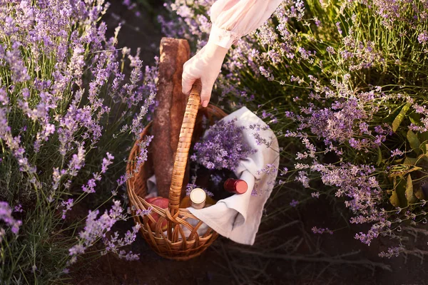 Woman holds wicker basket and looks for good place for picnic — 스톡 사진