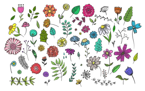 Şirin el çekilmiş renkli çiçekler ve otlar