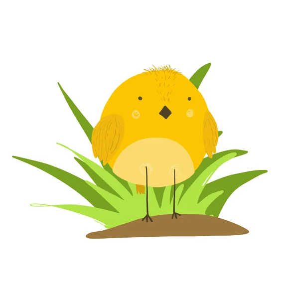 Roztomilý kreslený žluté kuře v trávě obrázek — Stockový vektor