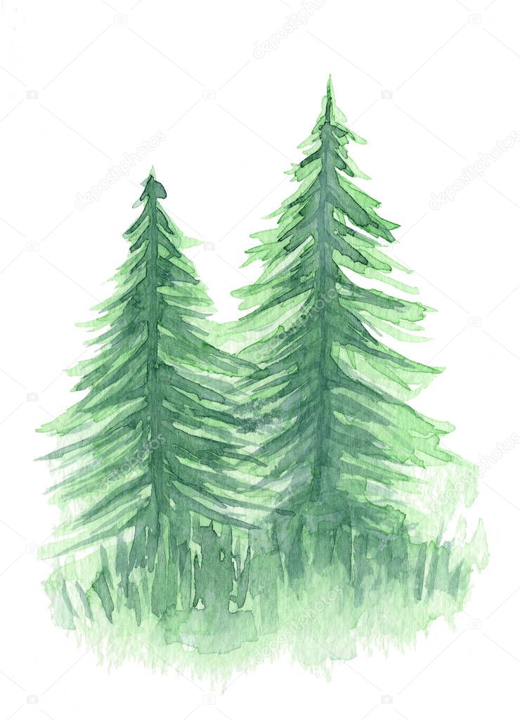 Watercolor background with two green firs or pines