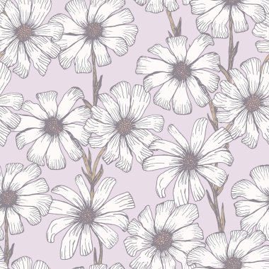 Tender pink pattern with white chamomile flowers