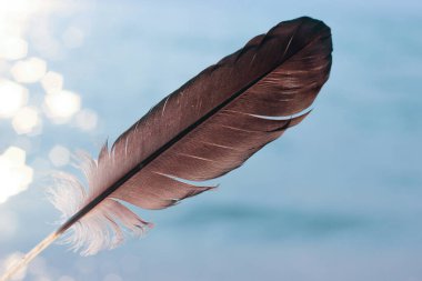 Mavi sudaki koyu tüyün narin fotoğrafı.