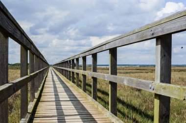 Eski ahşap iskele üzerinde sahil, Limassol, Kıbrıs