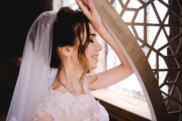 Retrato de una hermosa novia en un interior elegante. Mañana de la novia. La novia está esperando al novio. . —  Fotos de Stock