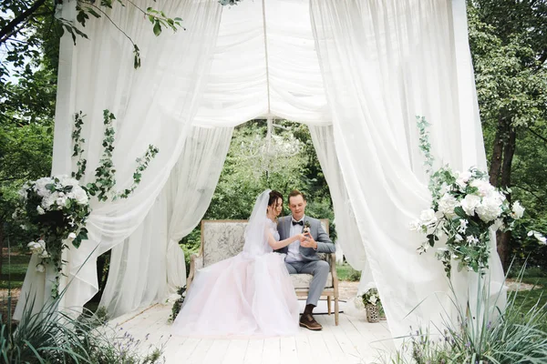 Hochzeit. Braut und Bräutigam sitzen auf einer schönen Couch in einem Pavillon im Garten. die Braut im rosa Kleid, der Bräutigam im grauen Anzug. Weißes Zelt. Braut und Bräutigam spazieren im Wald. — Stockfoto