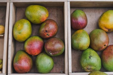 Tahta kutuda taze mango meyvesi. Bir kutu içinde Mango.