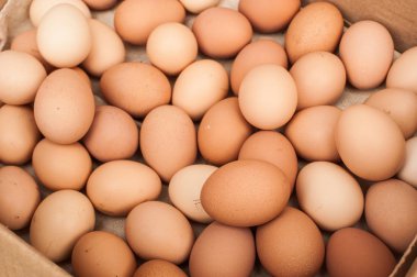 Kutuda bir sürü kahverengi yumurta var. Tavuk çiftliği. Metin için yer. Paskalya için hazırlık.