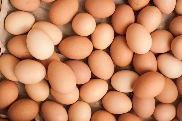 Πολλά καφέ αυγά στο κουτί. Φάρμα κοτόπουλου. Θέση για κείμενο. Προετοιμασία για το Πάσχα. — Φωτογραφία Αρχείου