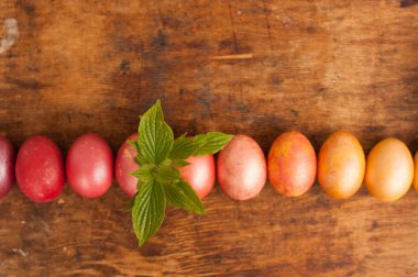 Ahşap bir arka plan üzerinde Paskalya yumurtaları. Mutlu paskalyalar. Parlak çok renkli parlak paskalya yumurtaları. Copyspace. Paskalya yumurtaları ile arka plan. Metin için yer