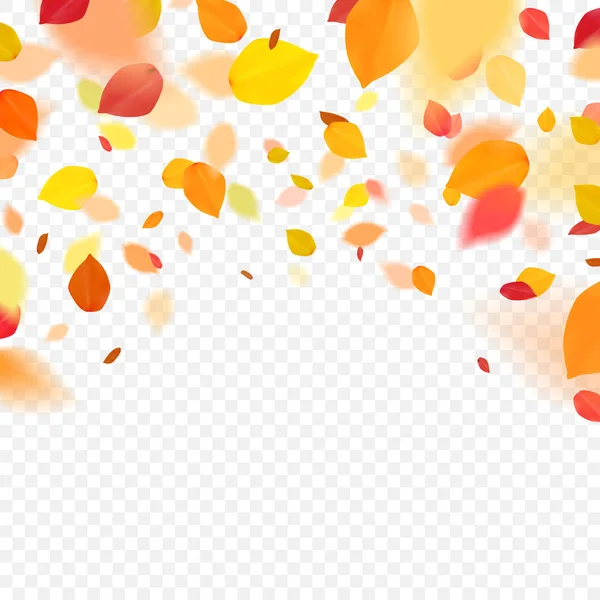 Orange colorful leaves flying falling effect. — Stock Vector