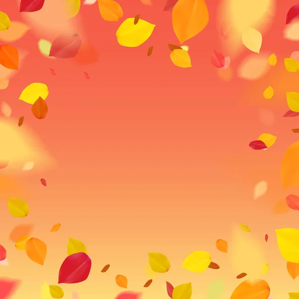 Arancione foglie colorate volo effetto caduta . — Vettoriale Stock